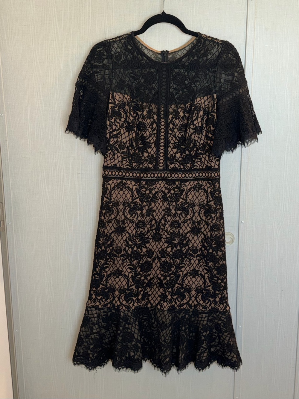 Tadashi Shoji Floral Lace Sheath Dress Ruffle Sleeve Knee Length Size 8